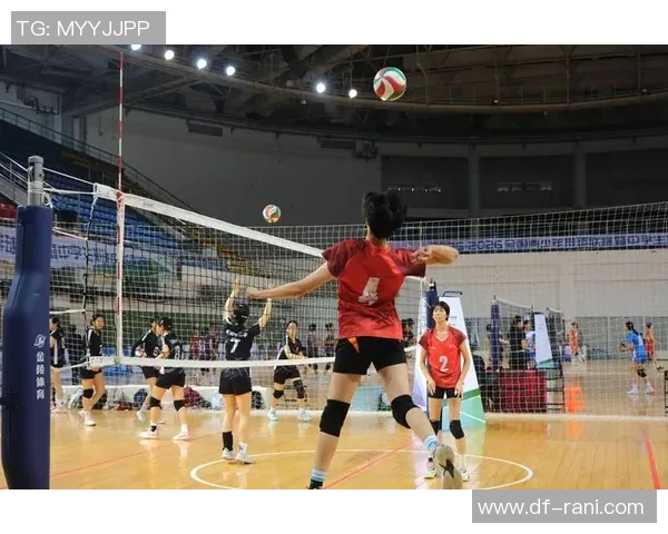 深圳排球队的训练与比赛状态全景揭秘助力排球巨献的背后故事 深圳排球队的训练与比赛状态全景揭秘助力排球巨献的背后故事